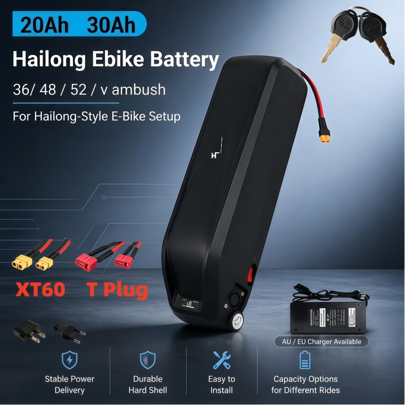 Batterie Hailong polyvalente,  - Ebike Battery 48V 20Ah Hailong avis et prix