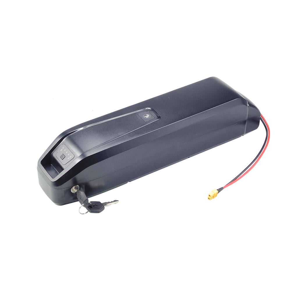 Nouvelle batterie de vélo élec - Ebike Battery 48V 20Ah Hailong avis et prix